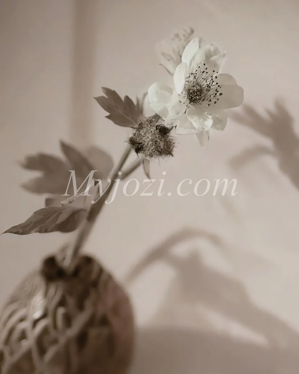Sotico - Fotoposter I Scandinavisk Design - Bild 4