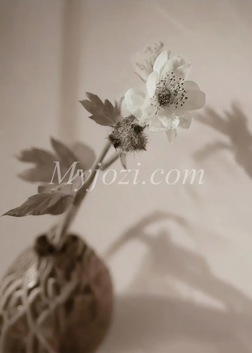 Sotico - Fotoposter I Scandinavisk Design - Bild 2